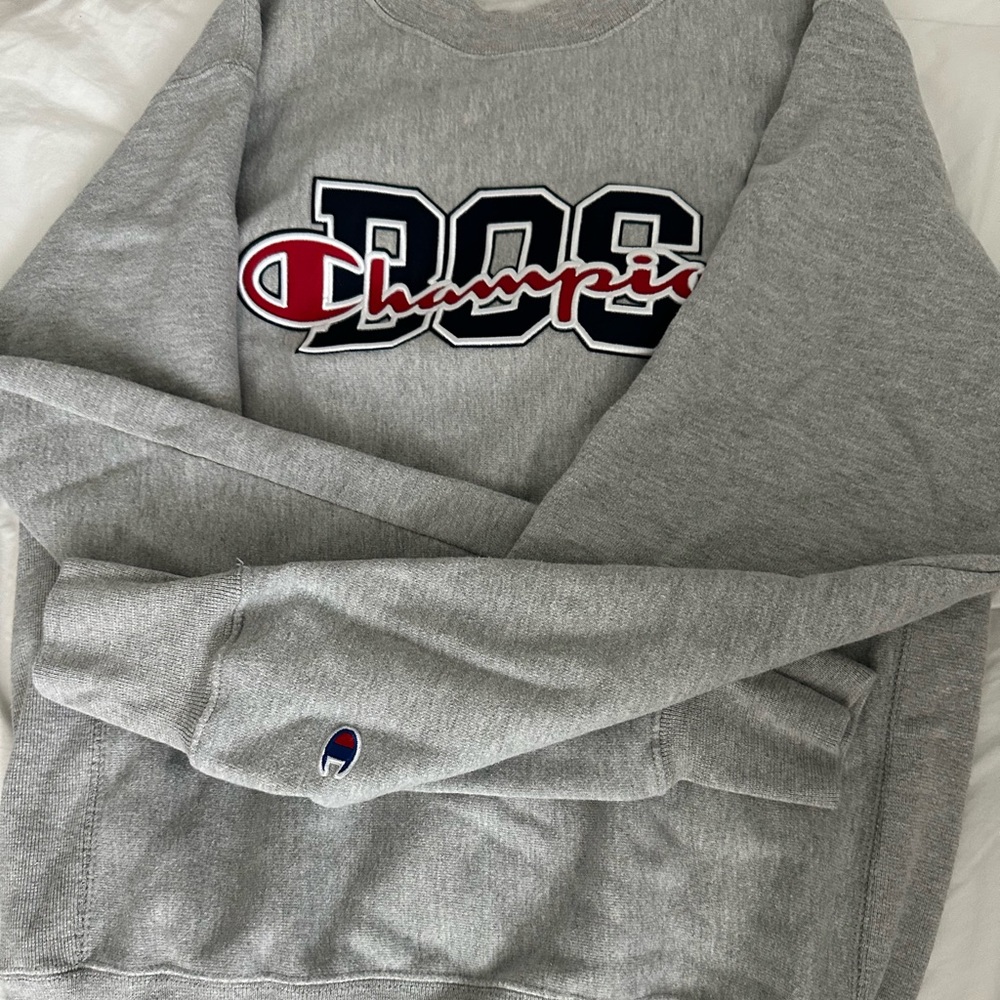 Campions Small grey sweater.